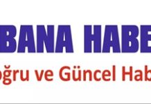 Denizbükü Köyünde Yangın