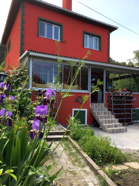 Saklı bahçe