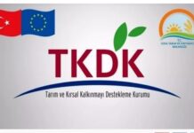 Teşvikler Devam Ediyor