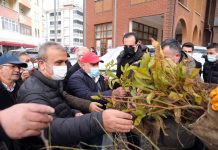Kestane ve Akasya Fidanı Dağıtıldı