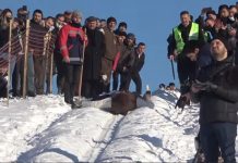 Ağlı’da kızak yarışları yapıldı