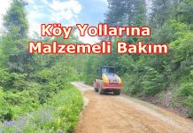 Köy Yollarına Bakım