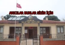 Abana Orman İşletme Şefliği Faaliyetleri