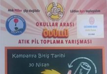Pilini Çöpe Atma, Geri Dönüşsün