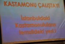 Kastamonu’lular İstanbul’da Çalıştay Düzenledi