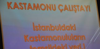 Kastamonu’lular İstanbul’da Çalıştay Düzenledi