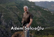Alternatif Sahil Turizmi – 1