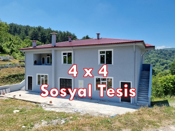tessi