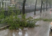 Fırtına etkisini göstermeye başladı
