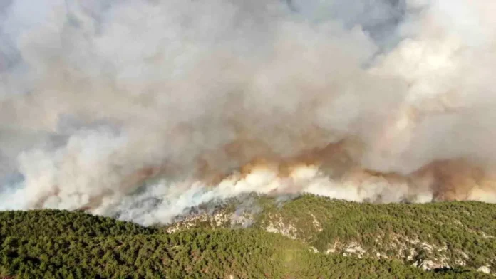 Kastamonu-Karabük Sınırında Orman Yangını: 2 Bin 736 Hektar Zarar Gördü