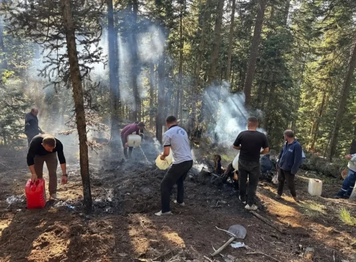 Kastamonu'da Orman Yangını Kısa Sürede Söndürüldü