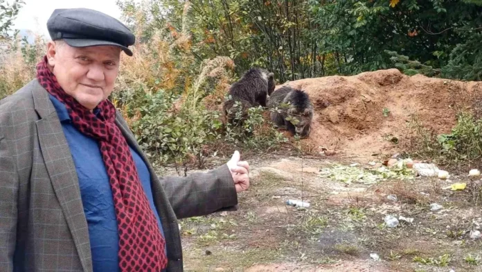 Yavru Ayılar Vatandaşların İlgisini Çekiyor