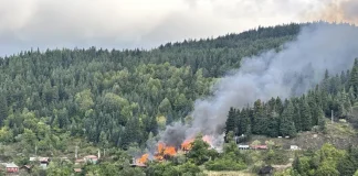 İnebolu Deresökü Köyü’nde Yangın: 9 Ev Zarar Gördü